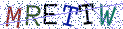 Type the letters shown in the picture