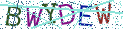 Type the letters shown in the picture