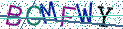 Type the letters shown in the picture